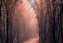 世界杯买球app -Meta擴(kuò)围AWS合作(zuò)，千万级Graviton核心落地支撑Agentic AI