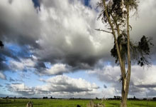 靠谱买球app -韩国将原油供(gōng)應(yīng)中(zhōng)断预警級(jí)别提(tí)升一級(jí)