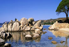 世界杯买球app -东吴証(zhèng)券：维持中国银河“买入”评级，多點(diǎn)开花支撐(chēng)业绩增長(zhǎng)